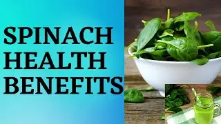 The Top Reasons Why Spinach Should Be a Staple in Your Diet | The Ultimate Health-Boosting Vegetable
