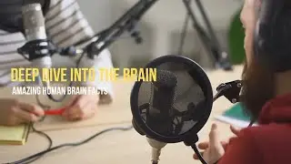 Deep Dive Into The Brain: Amazing Brain Facts #interestingfacts #psychology #fun #english