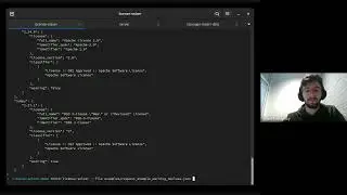 license solver demo