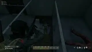 DayZ рандом момент PVP - PsixoopaD
