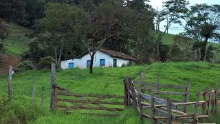 dia a dia na roça🤠