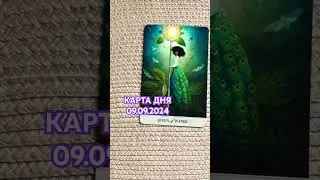 🌺КАРТА ДНЯ 09.09.2024🌺