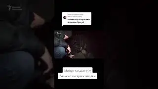 23 ноября 2023 г.