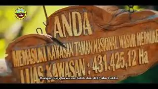 Taman Nasional Wasur: Keindahan Alam di Ujung Timur Indonesia