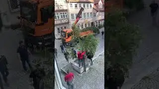 Установка праздничного дерева в Германии #christinasanko #германия #своимируками