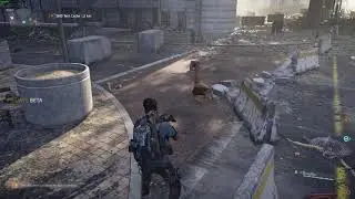 RIP division doggo