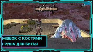 [Kenshi] Стрим | Выживание | Груша для тренировок
