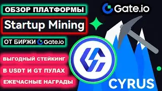Gate.io Startup Mining полный обзор на примере CYRUS. Выгодный стейкинг USDT и GT, ежечасные награды