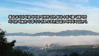 가을 아침 마당 아래 물안개