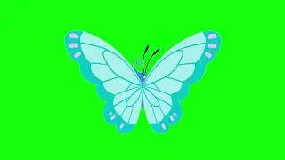 4K Green Screen Butterfly Flying | Royalty-Free Motion Graphics (No Copyright) | Animated Butterfly