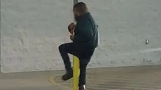 Walmart Pole Dancer🕺
