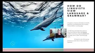 Overview Intro Video for LING 2371