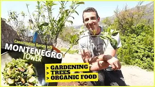 Raised garden bed, planting trees and organic food purslane salad 🥗 [Montenegro Tower Gardening #19]