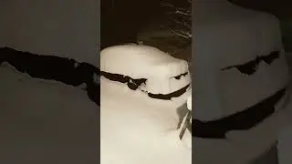 We got a lot of snow overnight!
