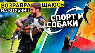 ВОЗВРАЩЕНИЕ ПИТУБЛЬТЕРЬЕРА ДЖЕС НА ЮТУБЫ. ТРЕНИРОВКА ПЕРЕД СОРЕВНОВАНИЯМИ. ПРЫЖКИ С ПИТБУЛЯМИ.