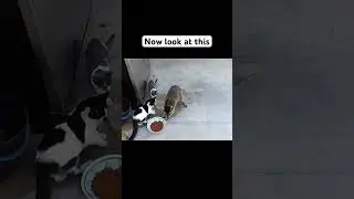 Now look at this pt.3 🤣 #shortvideo