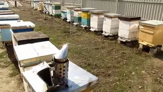 Пчеловождение в ульях Роже Делона ч 1