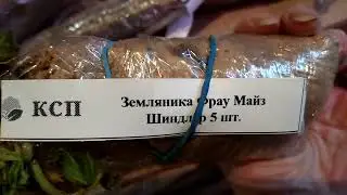 Внимание! Питомник растений 