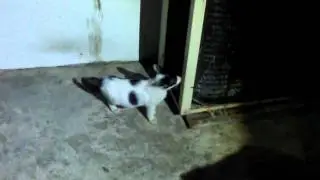 太有趣了XD