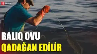 Balıq ovu qadağan edilir - RTV