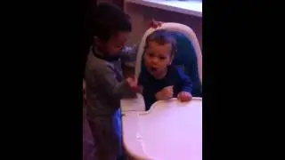 Мои играют😂