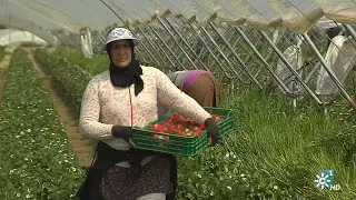 Proyecto Wafira, formación para el emprendimiento a mujeres trabajadoras marroquíes
