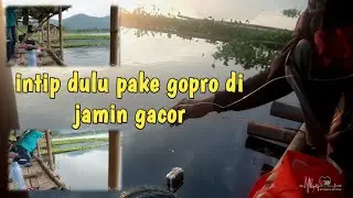 cara licik mancing di kampung wisata madang jatiluhur di intip pake gopro