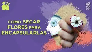 Como secar flores para encapsularlas