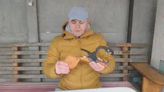 Тапенер для подвязки винограда и кустов помидоров.
