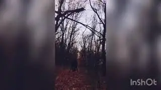 Незаконченные кадры#YouTube