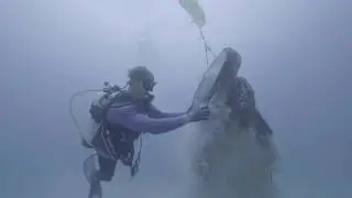 4ocean - The Osborne Reef