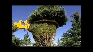 INVENÇÃO TECNOLOGIA Move Large Tree - Máquina pesada Poda Agricultura