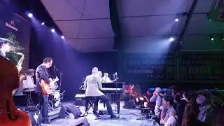 My little baby / Emma Williams & The Ramblin' Men / MTL Jazz Festival july 2018 Rockabilly