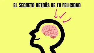 Descubre los 4 Neurotransmisores Clave para la Felicidad