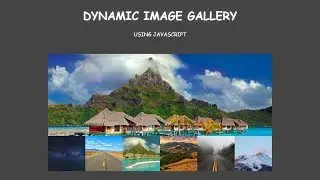 Dynamic Image Gallery Using JavaScript | JavaScript Tutorials