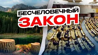 Что жители Бурятии и Иркутской области думают про сплошные рубки на Байкале. Исследование социологов