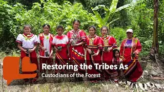 Sacred Bonds, Shared Vision: Tribes in Philippines Reforest Their Home with Unique Methods