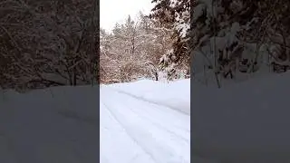 ОХОТА на ЗАЙЦА ФИНСКАЯ ГОНЧАЯ