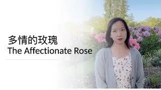 Sixue's cover - 多情的玫瑰 The Affectionate Rose - with English Subtitle