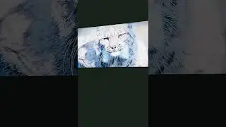 бабабабабабаьабааббабабабабабабабабабабабаьабабабабааббаабабабабабабаббабабабабаа#закулисие #рек