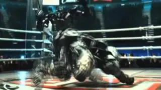 The Real Steel