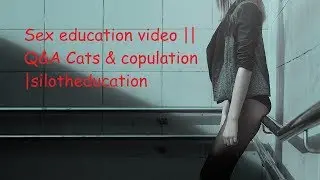 Sex education video || Q&A Cats & copulation |silotheducation