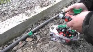 Капельный полив.Оптимизация капельного полива под различные овощные культуры.