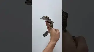 Придумайте имена для двух малышей! 