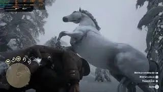 como conseguir el caballo AREBE-BLANCO en Red Dead RD2 (2024)