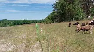 Ausflug nach Stölln/ Gollenberg/ Lady Agnes