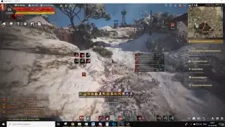 Black Desert online