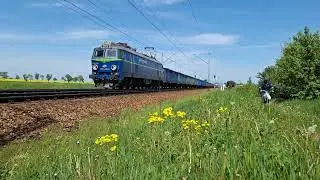 Składanka kolejowa Rogów-Parcela 8.05.2024