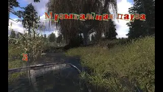Музыкальная пауза # 25