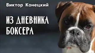 ИЗ ДНЕВНИКА БОКСЕРА / Конецкий Виктор  / Аудиокнига